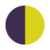 Purple-Yellow